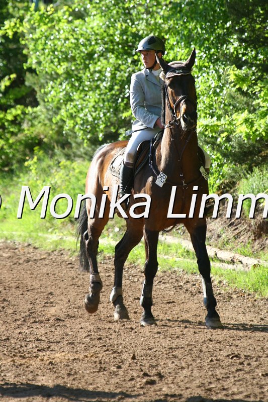 104M9127_Spring M_m.Stechen.JPG